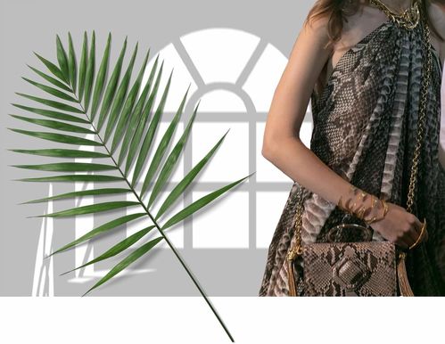 女星同款竟顯胖，胖太太服飾為何持續(xù)走紅？